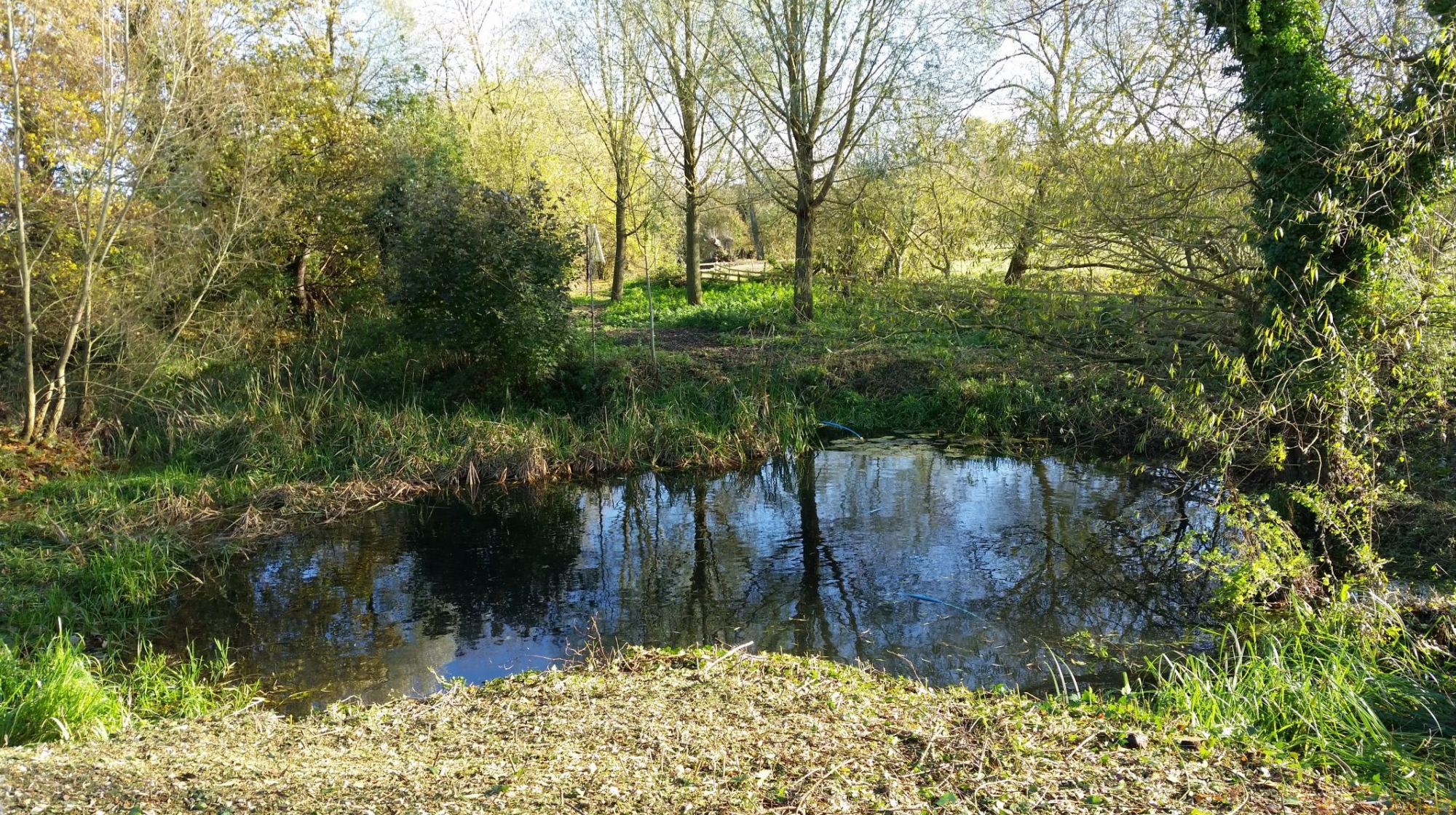 Barrowden Mill Pond Cleaned