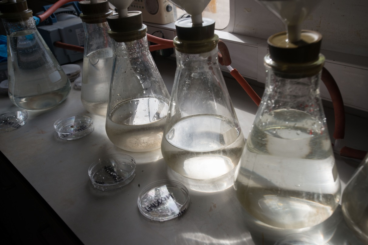 Lab 2